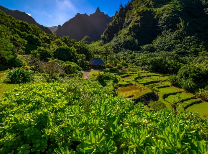 Limahuli Garden & Preserve, United States